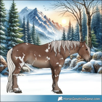 Horse Color:White Spotted Silver Black