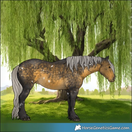 Horse Color:White Spotted Silver Buckskin 