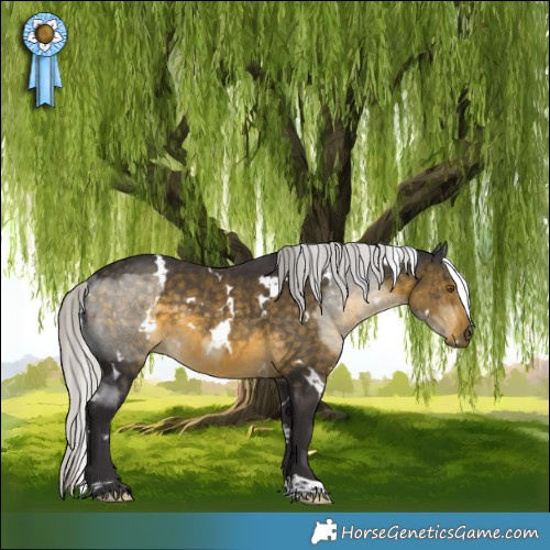 Horse Color:White Spotted Silver Buckskin 