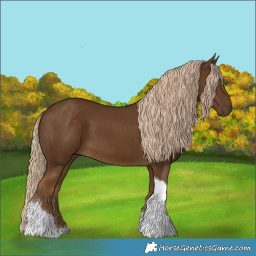 Horse Color:Chocolate Palomino Tobiano 