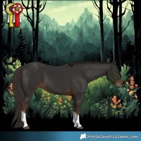 Horse Color:Liver Chestnut Tobiano 