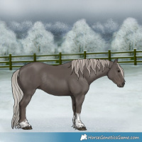 Horse Color:Silver Black Tobiano Rabicano 