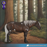 Horse Color:White Spotted Silver Brown