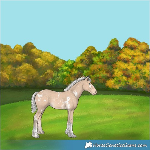 Horse Color:White Spotted Silver Perlino Tobiano 