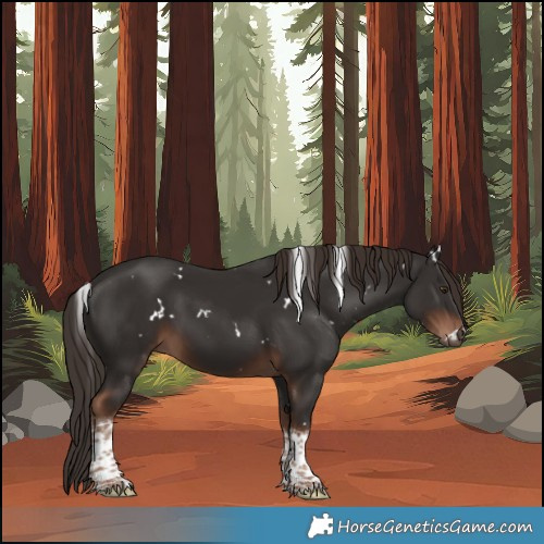 Horse Color:White Spotted Liver Chestnut Tobiano 