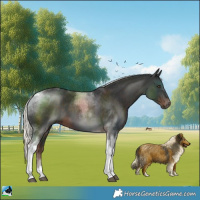 Horse Color:Liver Chestnut Mushroom Tobiano 