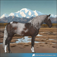 Horse Color:Silver Brown Tobiano 