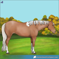 Horse Color:Silver Black Pearl Tobiano 
