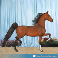 Horse Color:Bay Tobiano Rabicano 