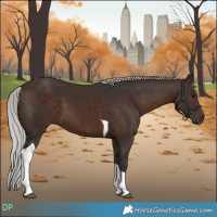Horse Color:Silver Brown Tobiano 