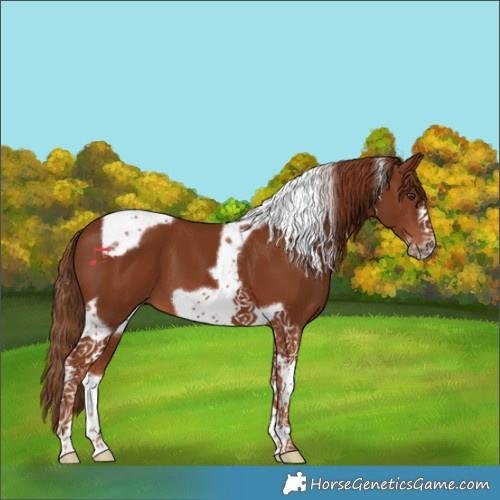 Horse Color:Chestnut Tobiano Frame 