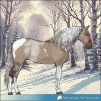 Horse Color:Silver Brown Dun Tobiano 