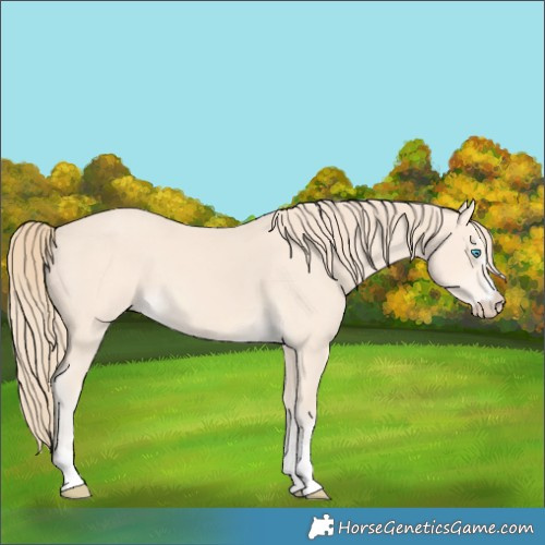 Horse Color:Perlino 