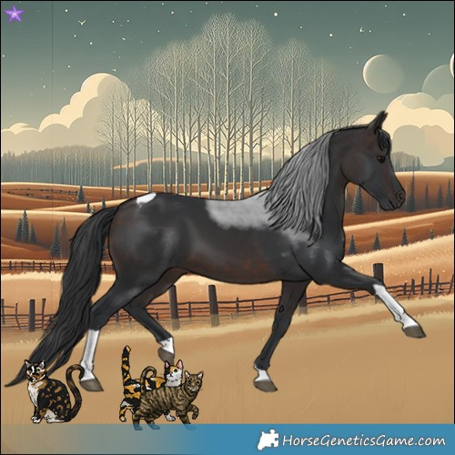 Horse Color:Brown Tobiano
