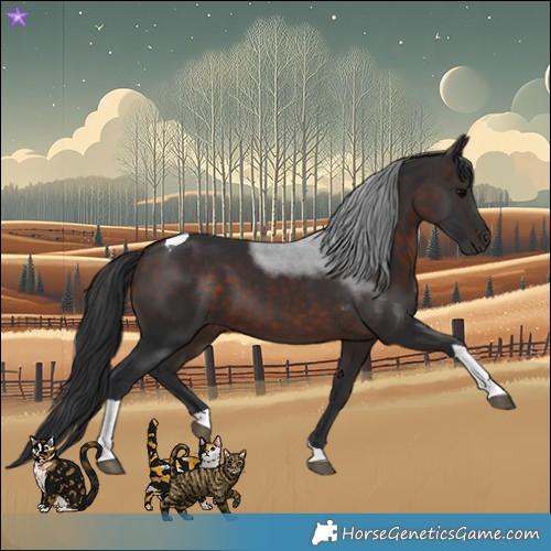 Horse Color:Brown Tobiano 