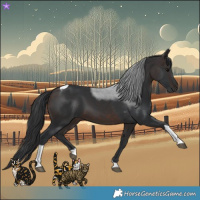 Horse Color:Brown Tobiano 