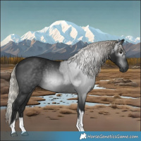 Horse Color:Gray Silver Brown Tobiano 