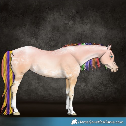 Horse Color:Painted Sable Cream Champagne Ice Pearl Tobiano