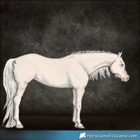 Horse Color:Cremello 