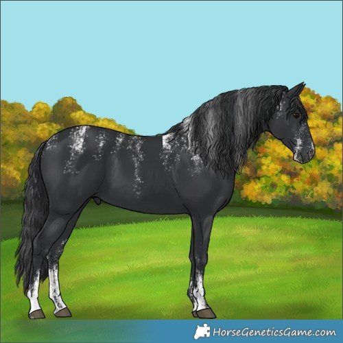 Horse Color:Powder White Black 
