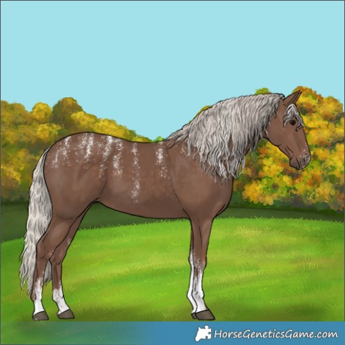 Horse Color:Powder White Silver Black 