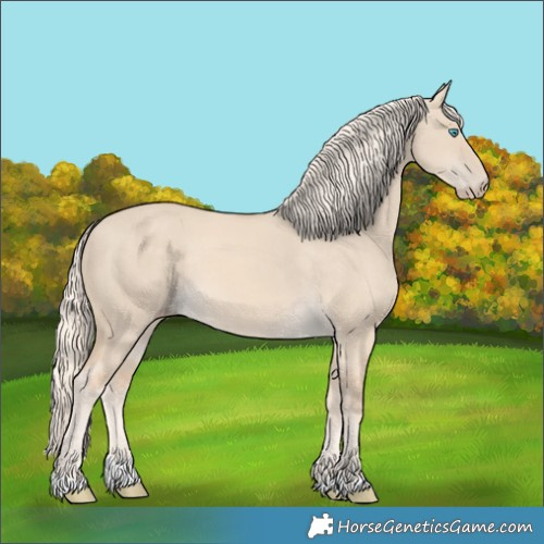 Horse Color:Cremello Dun 