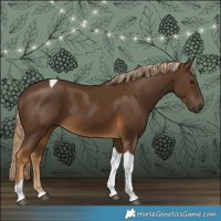 Horse Color:Chocolate Palomino Tobiano Rabicano 