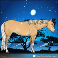 Horse Color:Silver Buckskin Dun Tobiano Rabicano