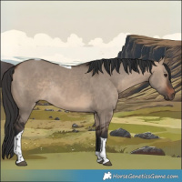 Horse Color:Brown Dun Tobiano Rabicano