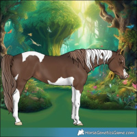 Horse Color:Liver Chestnut Tobiano 