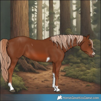 Horse Color:Chestnut Tobiano 