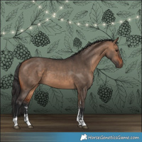 Horse Color:Brown Dun Sabino Rabicano 