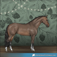 Horse Color:Brown Dun Sabino Rabicano 