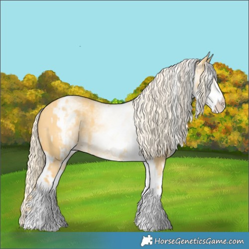 Horse Color:White Spotted Palomino Dun Rabicano  and White Spotted Palomino Dun Rabicano 