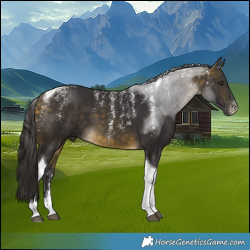 Horse Color:Powder White Buckskin Tobiano 