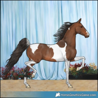 Horse Color:Bay Tobiano Rabicano