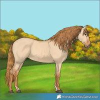 Horse Color:Red Dun