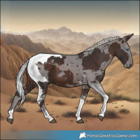 Horse Color:Silver Brown Merle Tobiano 