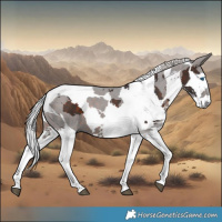 Horse Color:Silver Brown Merle Tobiano