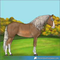 Horse Color:Chocolate Palomino Splash