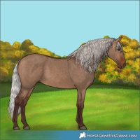 Horse Color:Silver Bay Dun
