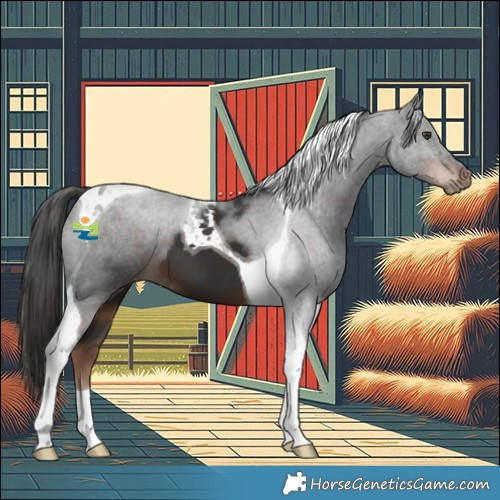 Horse Color:Liver Chestnut Tobiano 