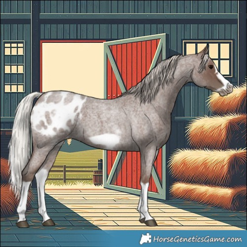 Horse Color:White Spotted Silver Blue Roan Splash Frame Appaloosa 