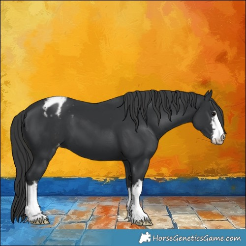 Horse Color:White Spotted Black Varnish 