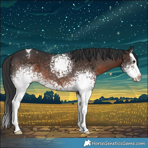 Horse Color:White Spotted Brown Splash Varnish 