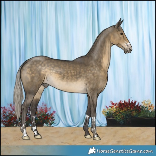 Horse Color:Silver Smoky Grullo 