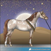 Horse Color:White Spotted Liver Red Dun Roan 
