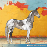 Horse Color:Silver Smoky Black Tobiano 