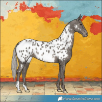 Horse Color:Silver Black Mushroom Appaloosa 