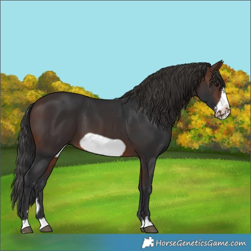 Horse Color:Brown Frame